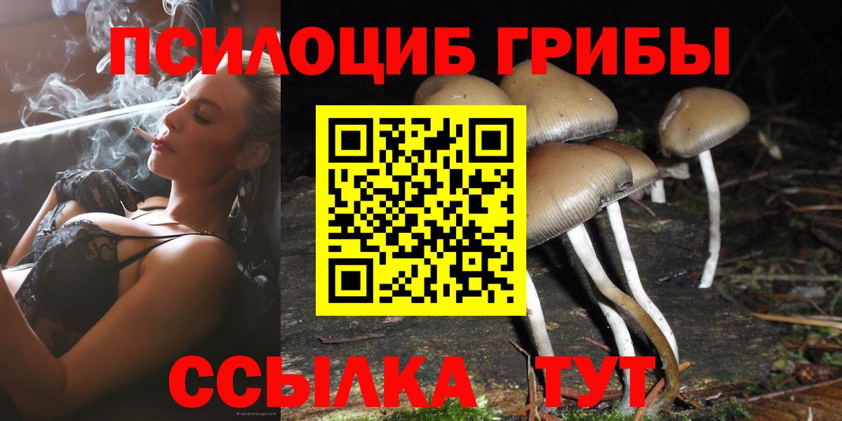 Псилоцибиновые грибы Magic Shrooms Гатчина