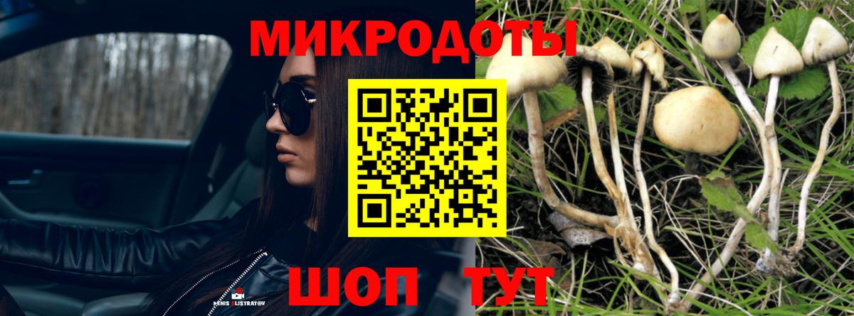 как найти наркотики  Галлюциногенные грибы ЛСД  Вход с VPN  Гатчина 