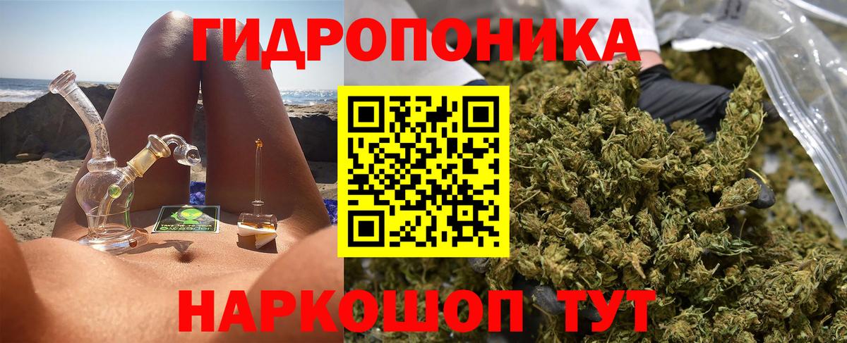 Марихуана сатива Гатчина